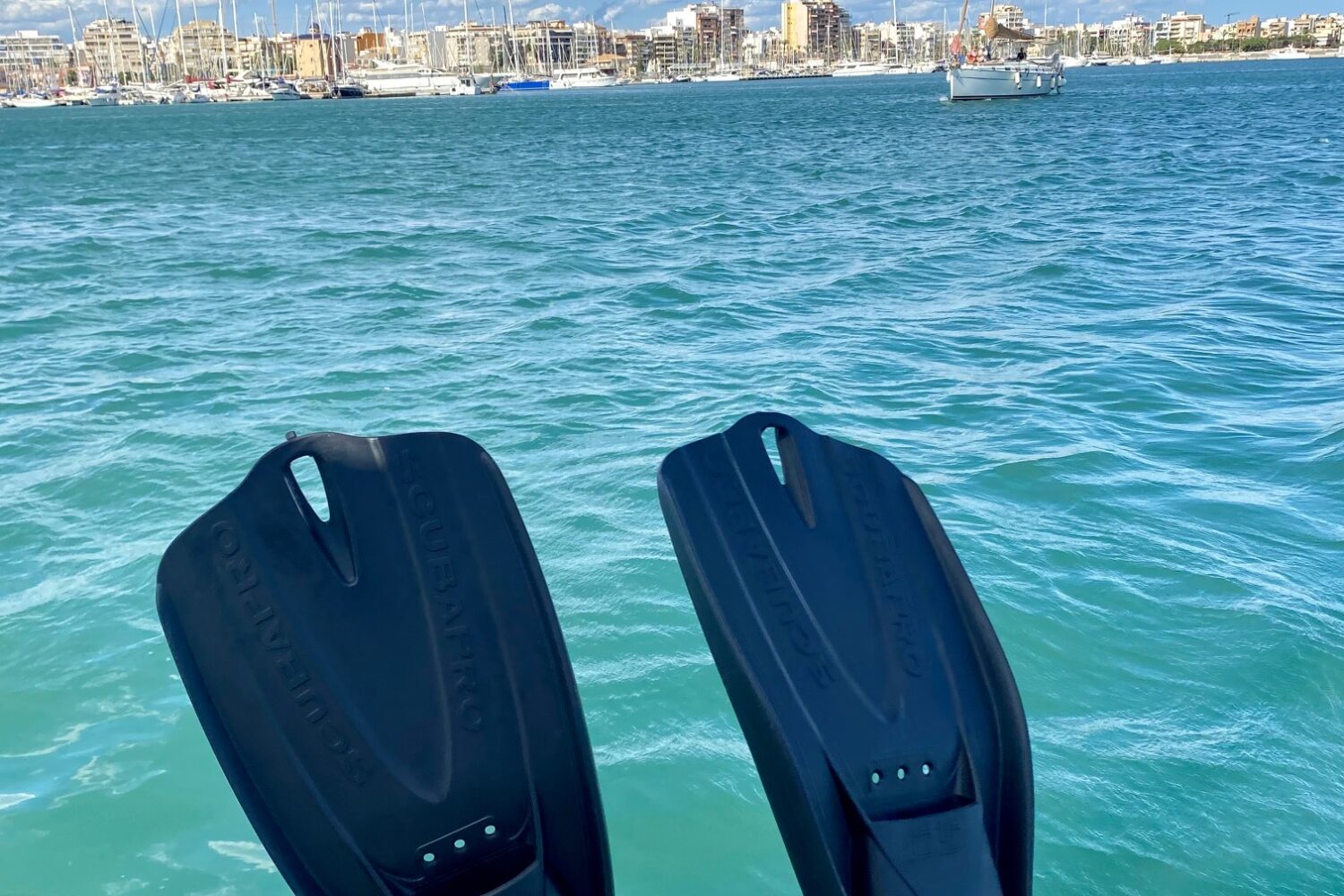 Fins on Torrevieja Boat Tours