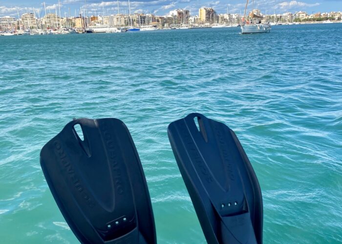 Fins on Torrevieja Boat Tours