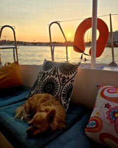 Sunset on Torrevieja Boat Tours