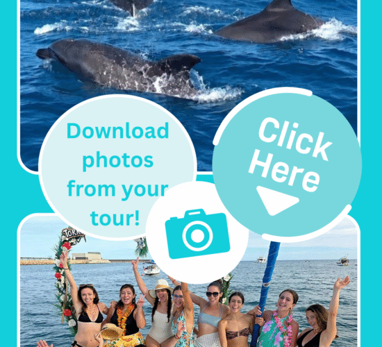 Download photos from your tour!